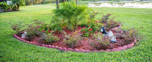service-garden-design-consultation