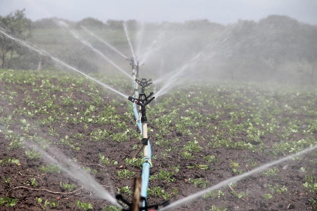 service-irrigation