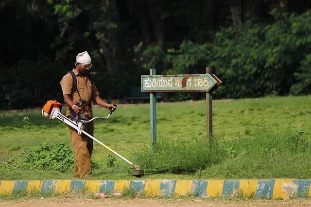 service-landscape-maintenance