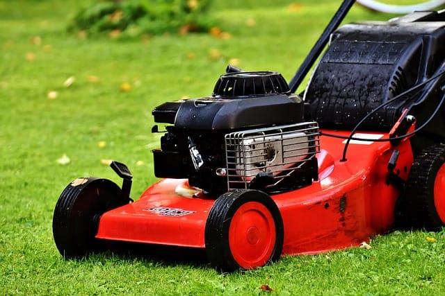 service-lawn-care